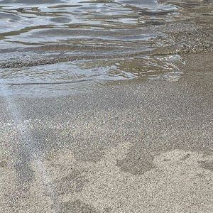 Meet your Posher, Leslie